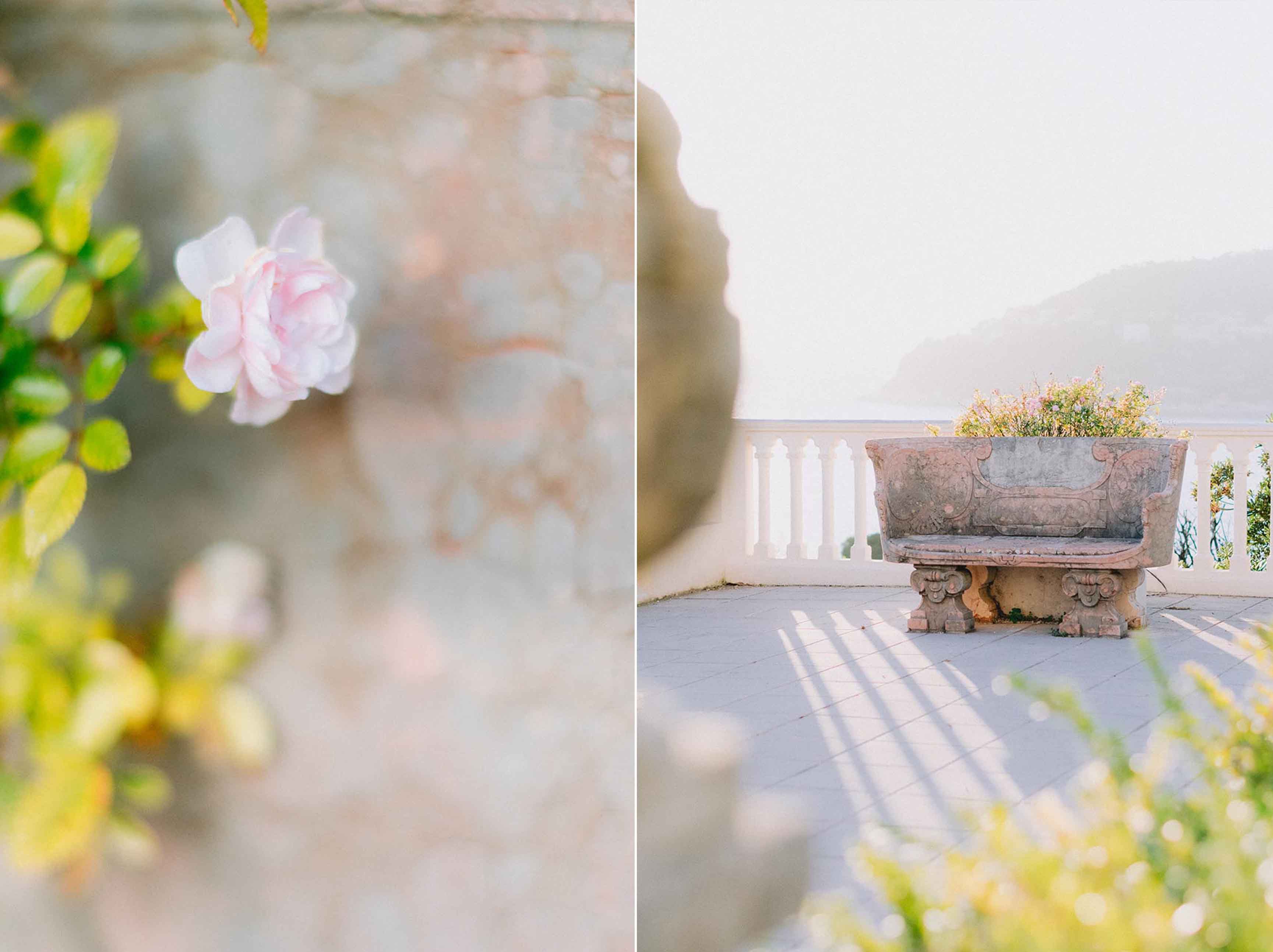 photo d une rose et d un banc qui se trouvzent dans le jardin de sêvre